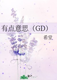 有點意思（GD）